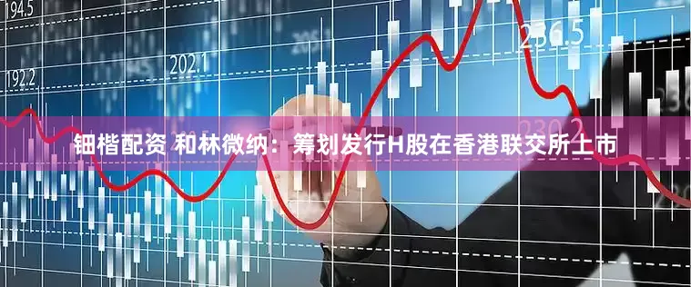 钿楷配资 和林微纳：筹划发行H股在香港联交所上市