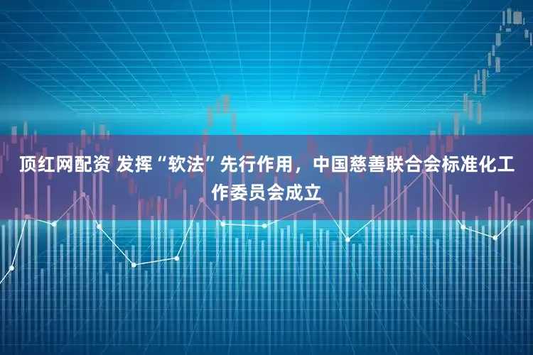 顶红网配资 发挥“软法”先行作用，中国慈善联合会标准化工作委员会成立