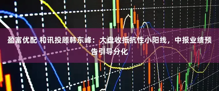 盈富优配 和讯投顾韩东峰：大盘收抵抗性小阳线，中报业绩预告引导分化
