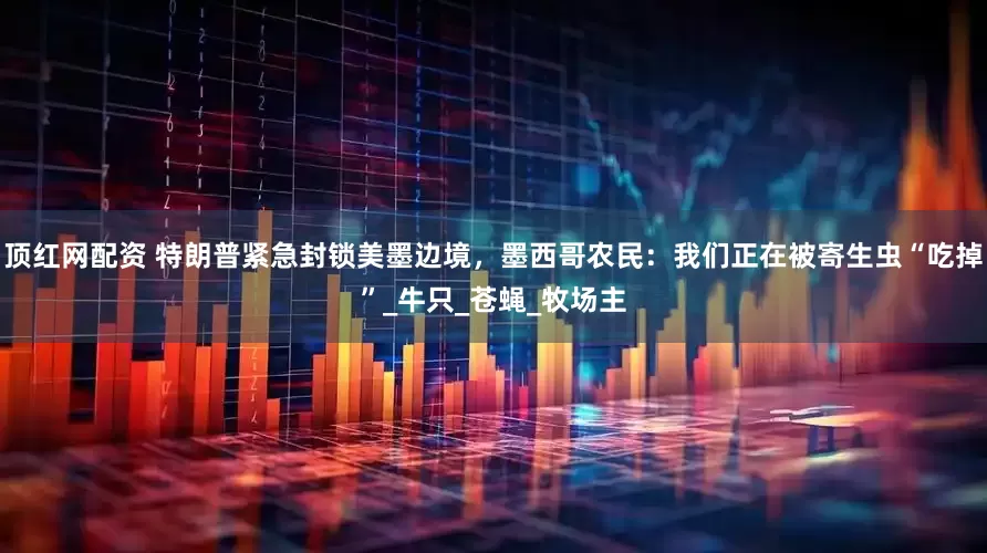 顶红网配资 特朗普紧急封锁美墨边境，墨西哥农民：我们正在被寄生虫“吃掉”_牛只_苍蝇_牧场主