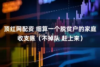 顶红网配资 细算一个脱贫户的家庭收支账（不掉队 赶上来）