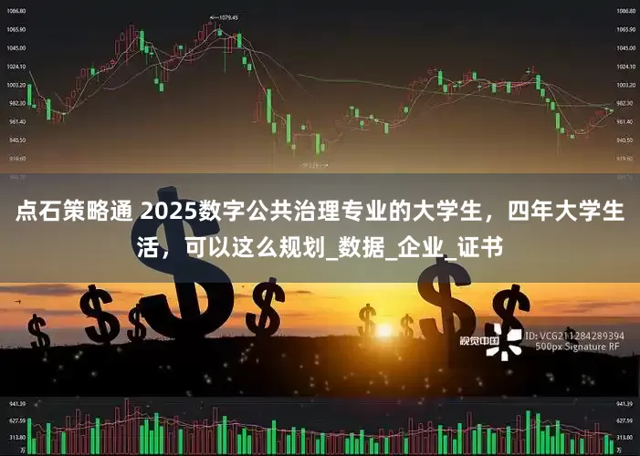 点石策略通 2025数字公共治理专业的大学生，四年大学生活，可以这么规划_数据_企业_证书