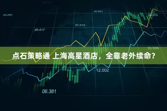 点石策略通 上海高星酒店，全靠老外续命？